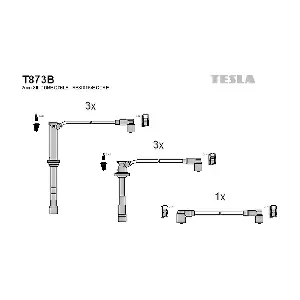 T873B TESLA
