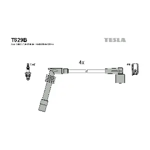 T629B TESLA