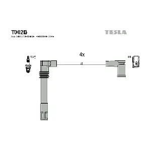 T002B TESLA