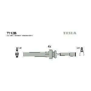 T112B TESLA