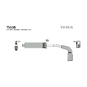 T553B TESLA