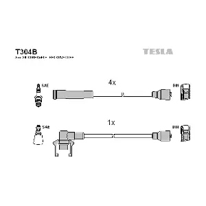 TESLA T304B