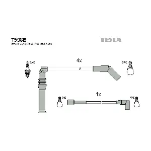 T598B TESLA