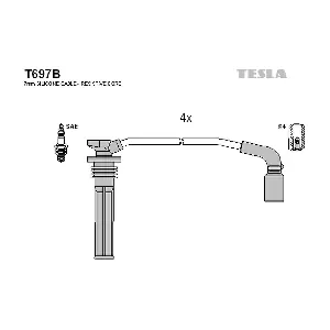 T697B TESLA