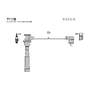 T117B TESLA