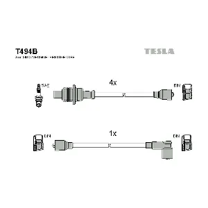 T494B TESLA