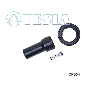 CP054 TESLA