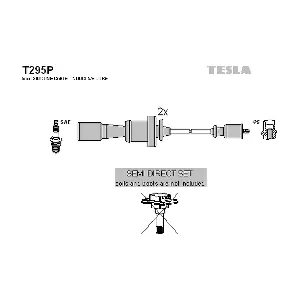 T295P TESLA