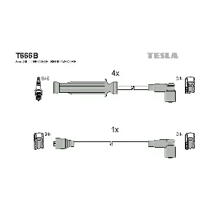 T666B TESLA