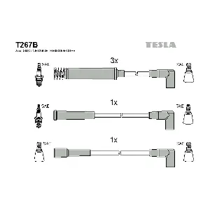 T 267 B TESLA