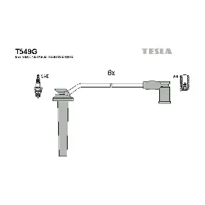 T 549 G TESLA