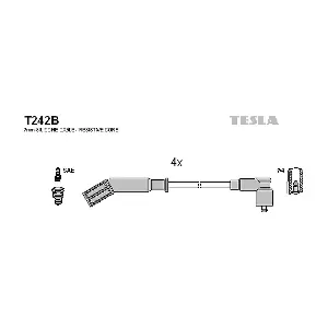 T242B TESLA
