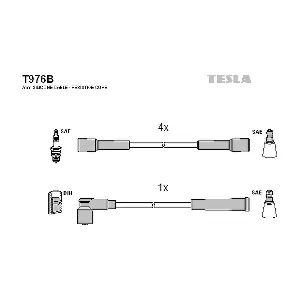 T976B TESLA