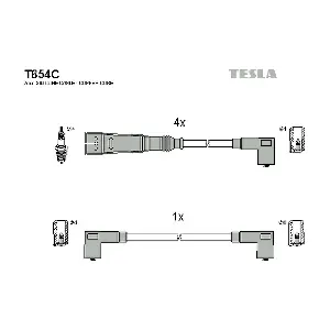 T654C TESLA