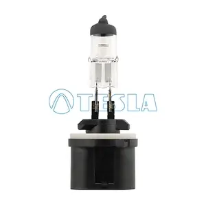 B12711 TESLA