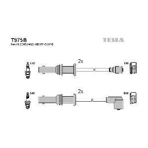 T975B TESLA