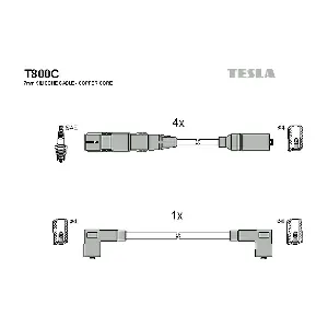 T800C TESLA