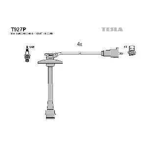 T927P TESLA