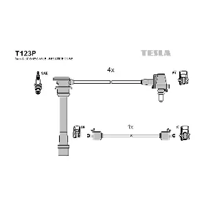 T123P TESLA