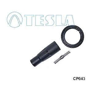 CP043 TESLA
