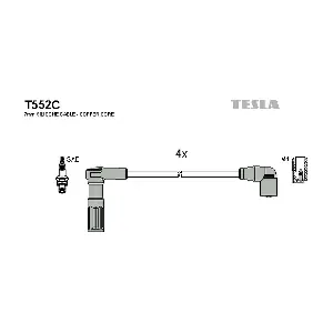 T552C TESLA