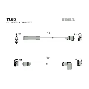 T 225 G TESLA