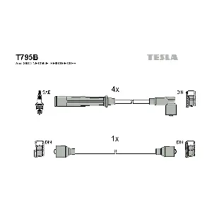 T795B TESLA