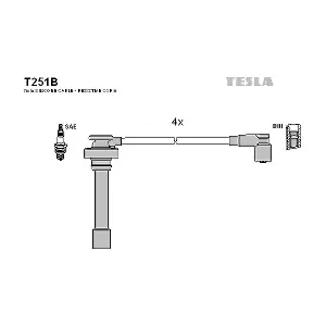 TESLA T251B