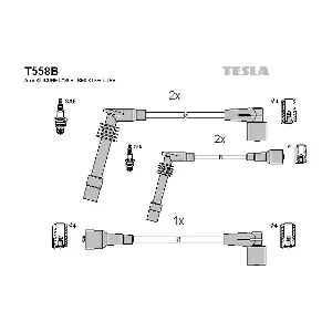 TESLA T558B