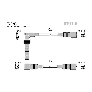 T292C TESLA