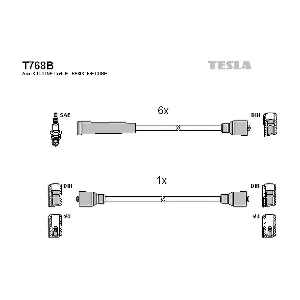 T768B TESLA