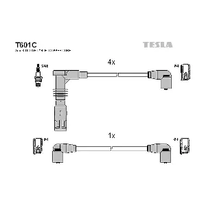 TESLA T601C