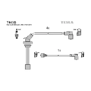 T443B TESLA