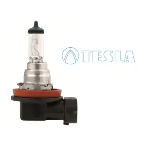 B11601 TESLA