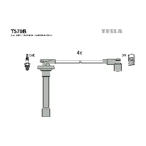 T570B TESLA