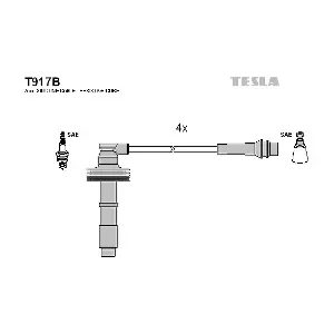 T917B TESLA