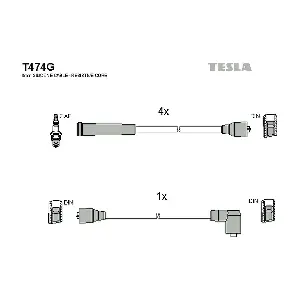 T474G TESLA