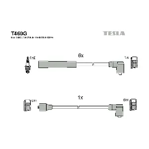 TESLA T460G
