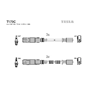 T 170 C TESLA