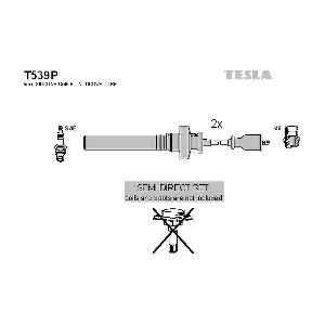T539P TESLA