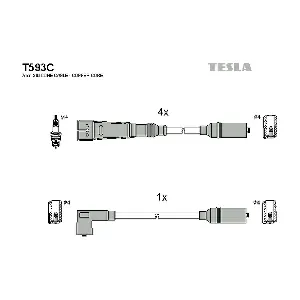 T593C TESLA