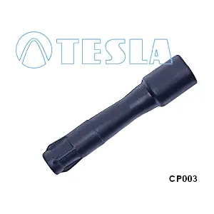 CP003 TESLA
