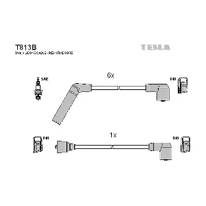 T813B TESLA