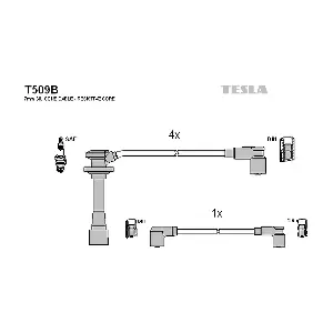 T509B TESLA