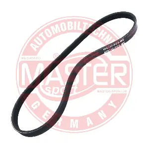 4PK737-PCS-MS MASTER-SPORT GERMANY