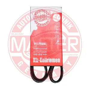 MASTER-SPORT GERMANY 6PK990-PCS-MS