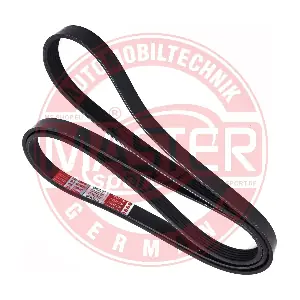 6PK2218-PCS-MS MASTER-SPORT GERMANY