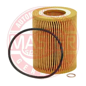 925/4X-OF-PCS-MS MASTER-SPORT GERMANY