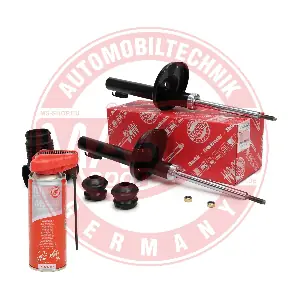 16K005313P MASTER-SPORT GERMANY