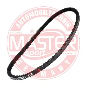AVX-10X625-PCS-MS MASTER-SPORT GERMANY